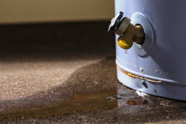 Water damage restoration insurance claims in Swedesboro, NJ
