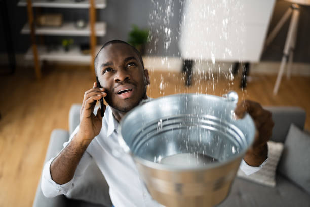  Swedesboro, NJ Water damage restoration Pros