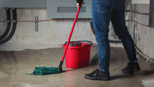 Best Water damage cleanup near me  in Swedesboro, NJ