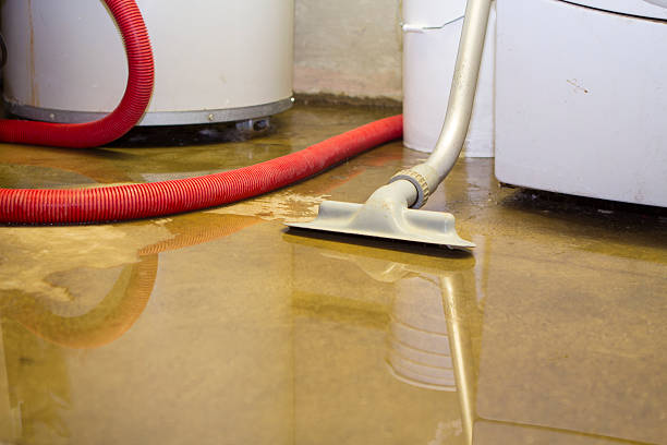 Best Flooded house restoration  in Swedesboro, NJ