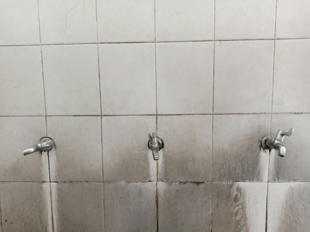 Best Local water damage restoration  in Swedesboro, NJ