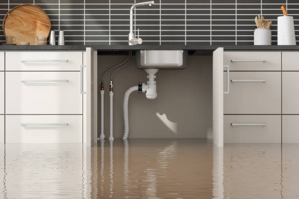 Best Carpet water damage restoration  in Swedesboro, NJ