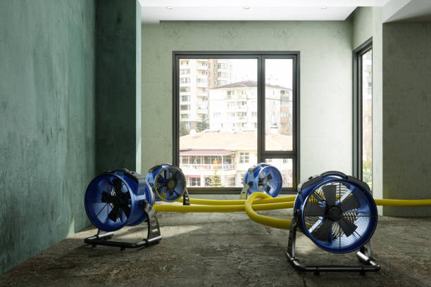 Best Water damage restoration insurance claims  in Swedesboro, NJ